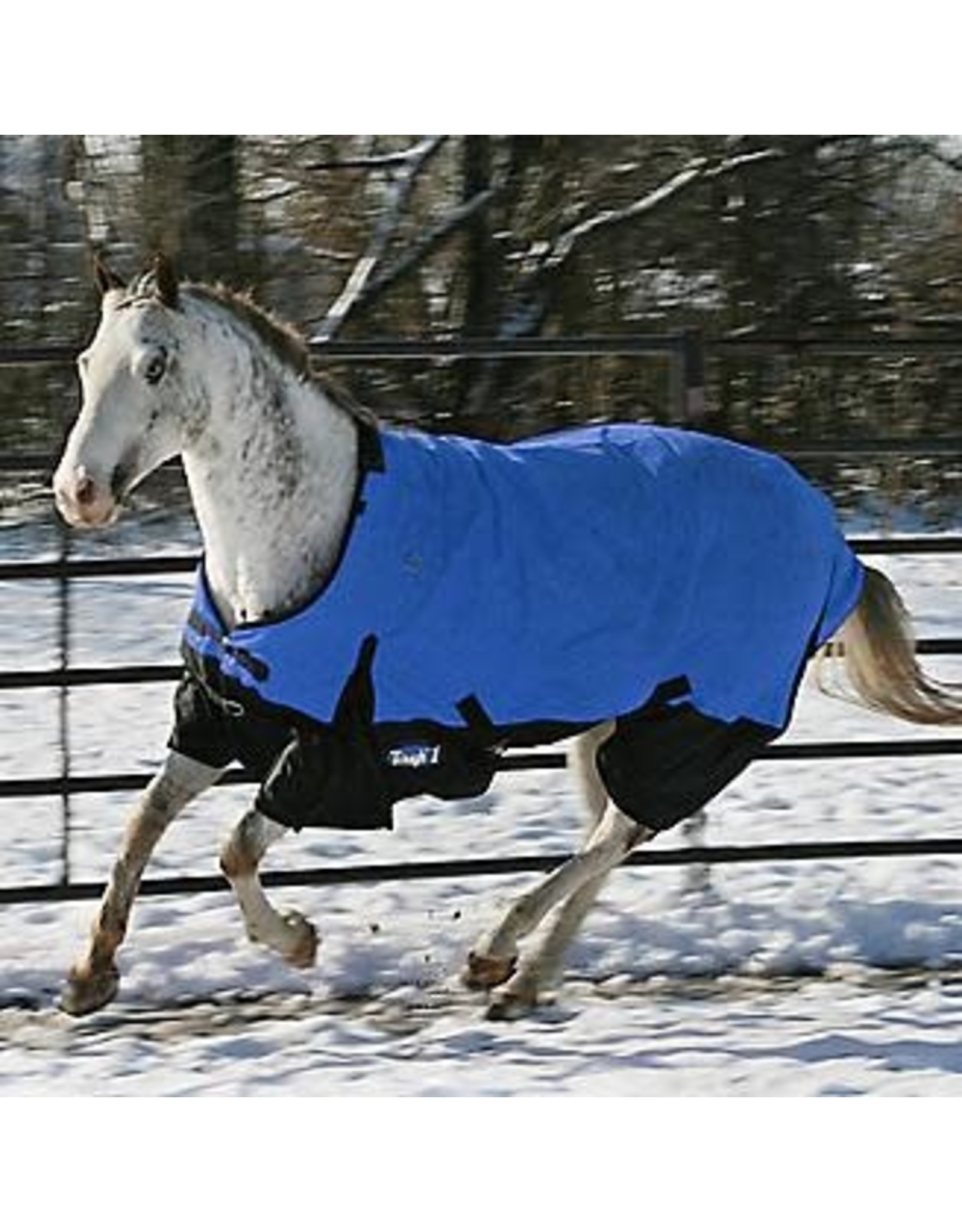 Tough 1 Tough 1 600D Royal Blue Turnout Blanket Sz. 81 32-2010-81