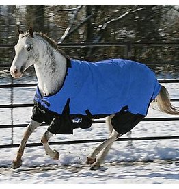 Tough 1 Tough 1 600D Royal Blue Turnout Blanket Sz. 81 32-2010-81