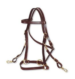 Circle Y Circle Y Halter Bridle 0605-0001 Walnut