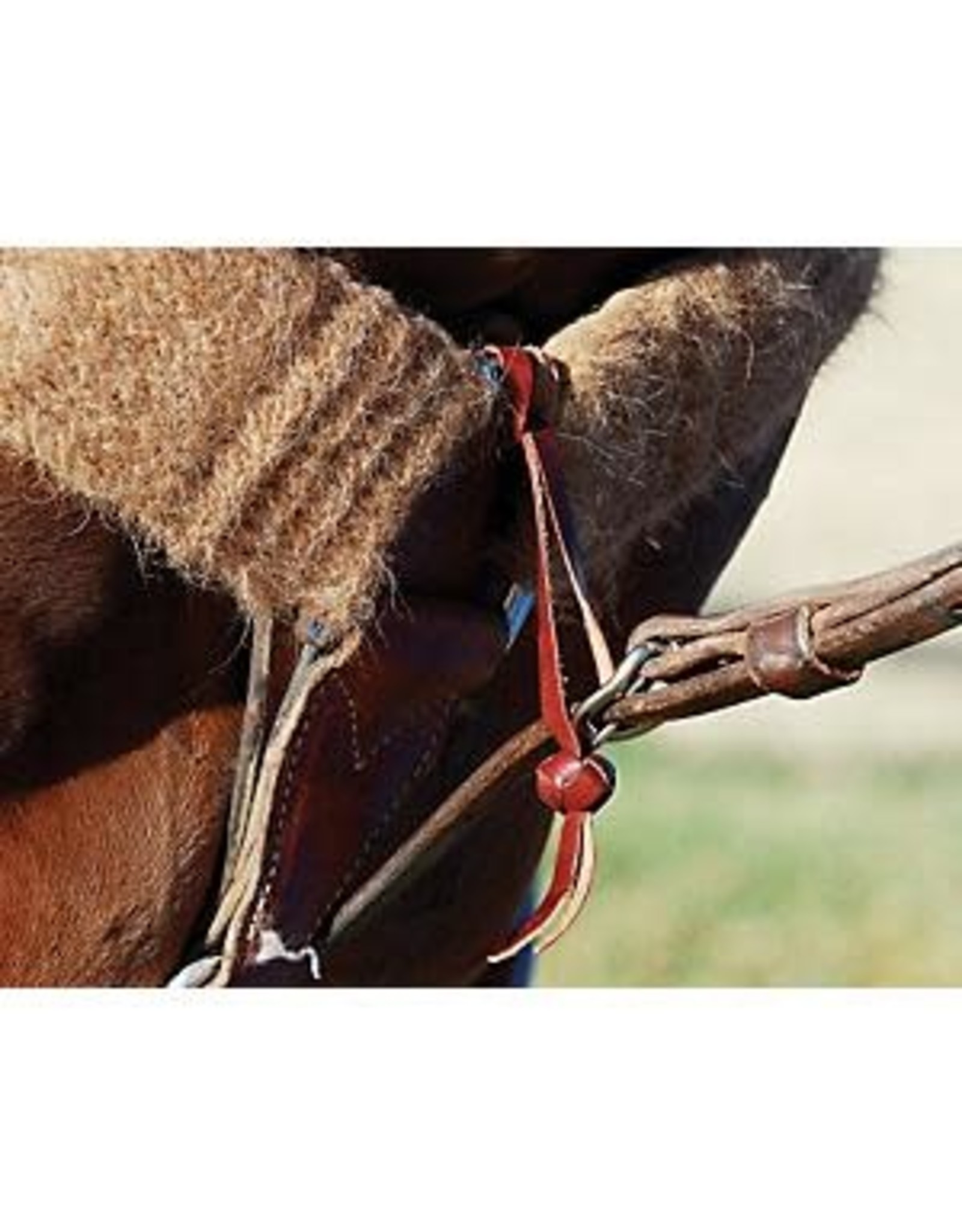 Martin Martin Saddlery Tie Down TDHOBB Hobble