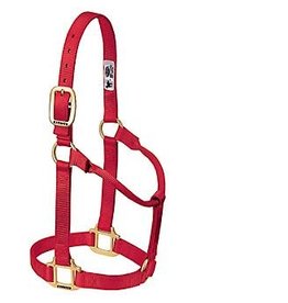 Weaver Weaver Average 1” Original Halter 35-7005-RD