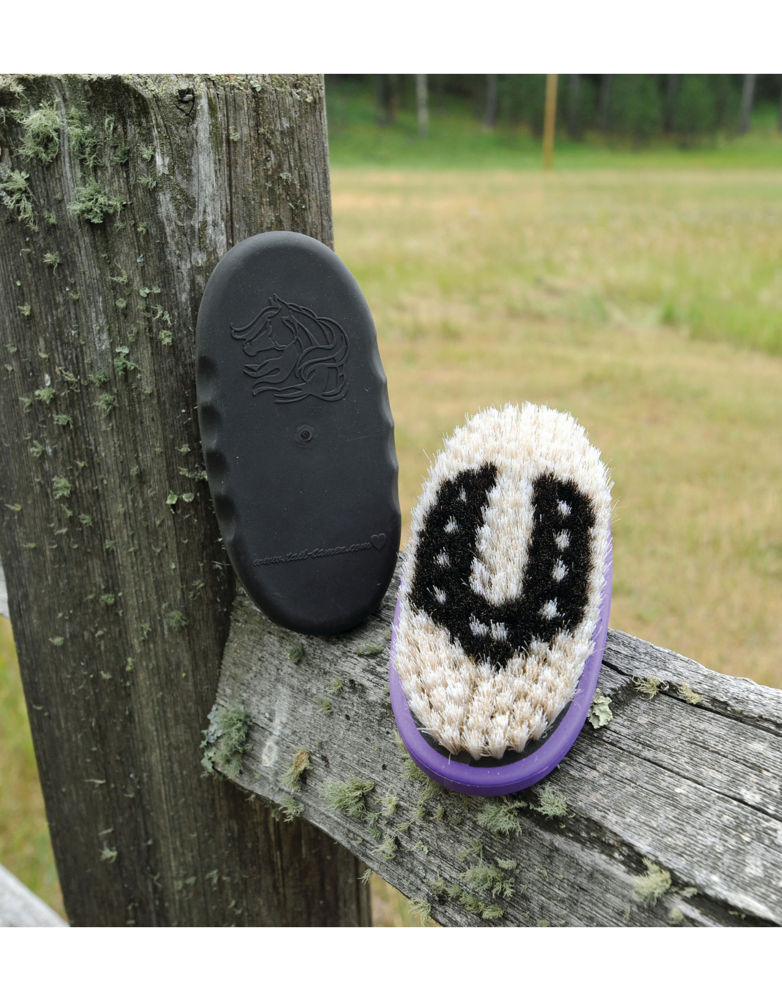 Tail Tamers Tail Tamers Asst Colors (Pink, Purple, Black) Small ST300 Pig Bristle Brushes