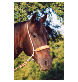 Martin Saddlery Tie Down HTDRL Headset