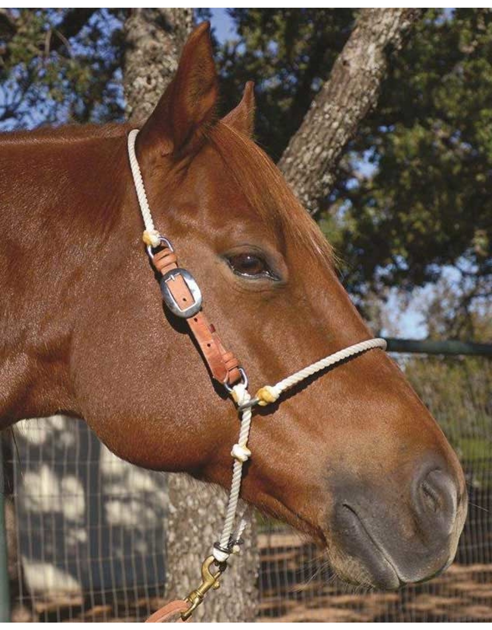 Martin Martin Saddlery Adj. Headsetter Tiedown HTDRA