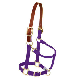 Weaver Breakaway Halter Average 35-6025-PU Purple