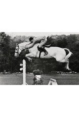 Breyer Breyer Snowman 1708 Model Horse
