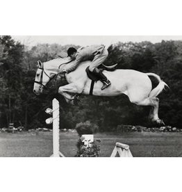 Breyer Breyer Snowman 1708 Model Horse