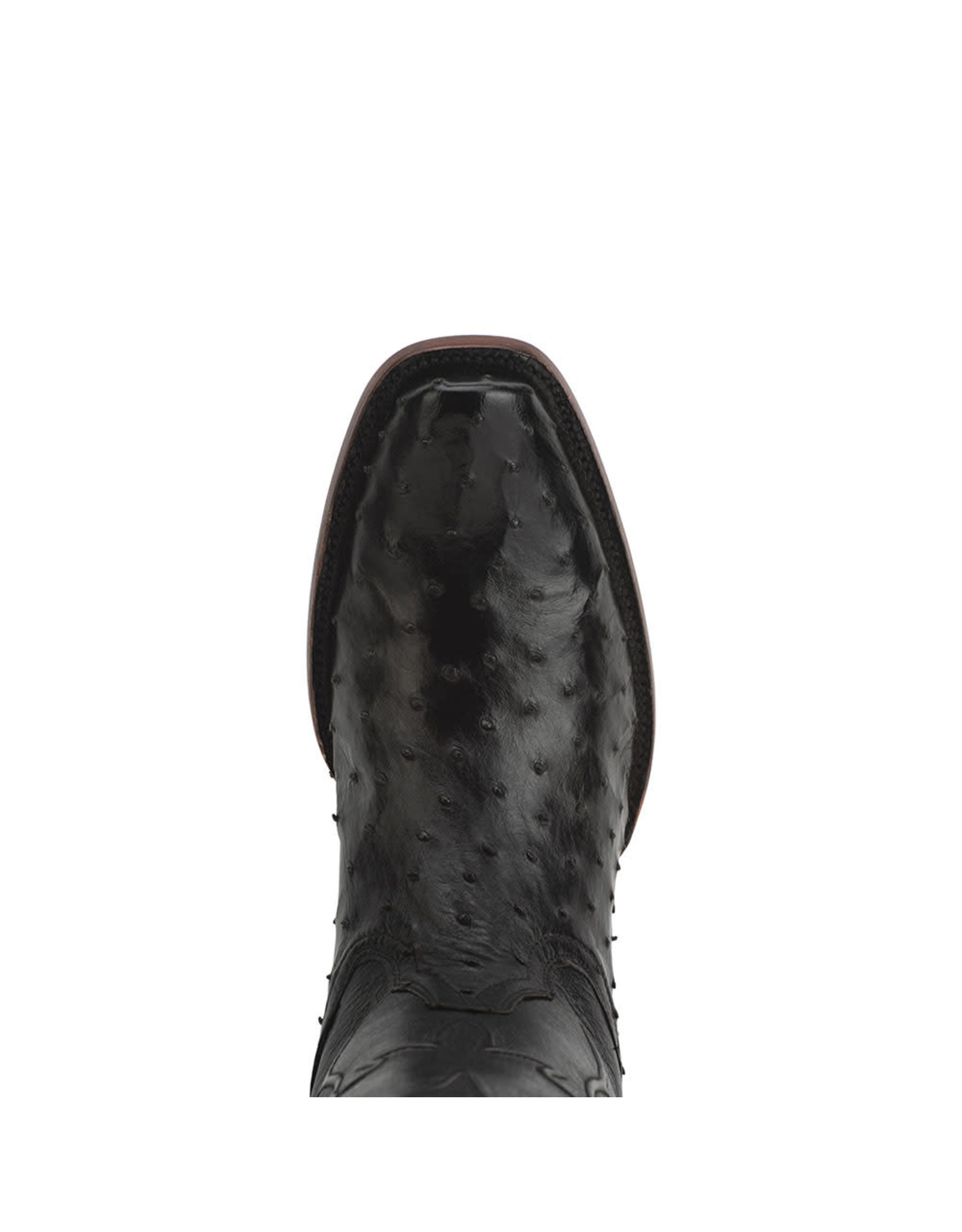 R. Watson Men's Black Full Quill Ostrich RW4000-1 Western Boots