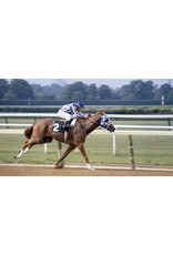 Breyer Breyer Secretariat Triple Crown Winner 1345 Model Horse