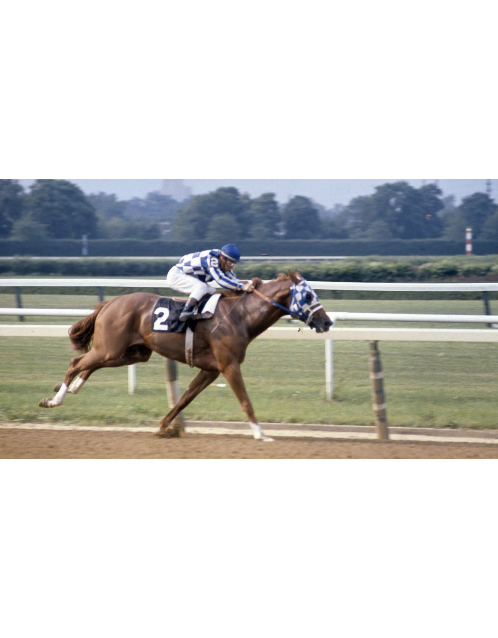 Breyer Breyer Secretariat Triple Crown Winner 1345 Model Horse