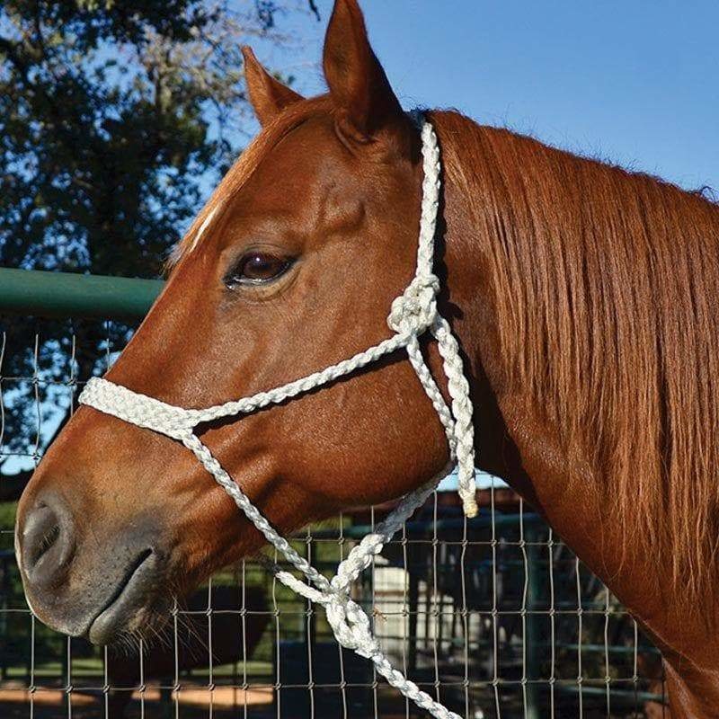 Yellow And Lime Mule Tape Halter