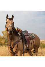 Martin Martin Saddlery Braided Beaded Noseband HTR-BDBRH-BKWH Rope Halter