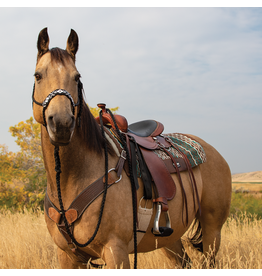 Martin Martin Saddlery Braided Beaded Noseband HTR-BDBRH-BKWH Rope Halter