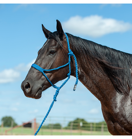 Cashel Cashel Flat Braided Royal Blue HTR-BMTH-BLU Rope Halter