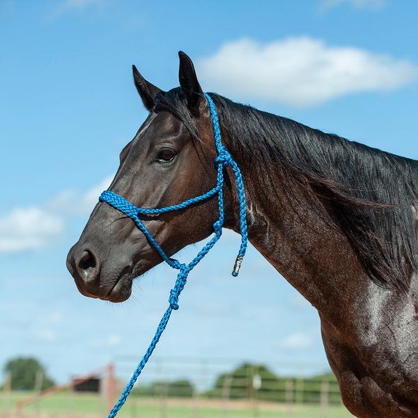 Cashel Flat Braided Royal Blue HTR-BMTH-BLU Rope Halter - Nelson Royal's