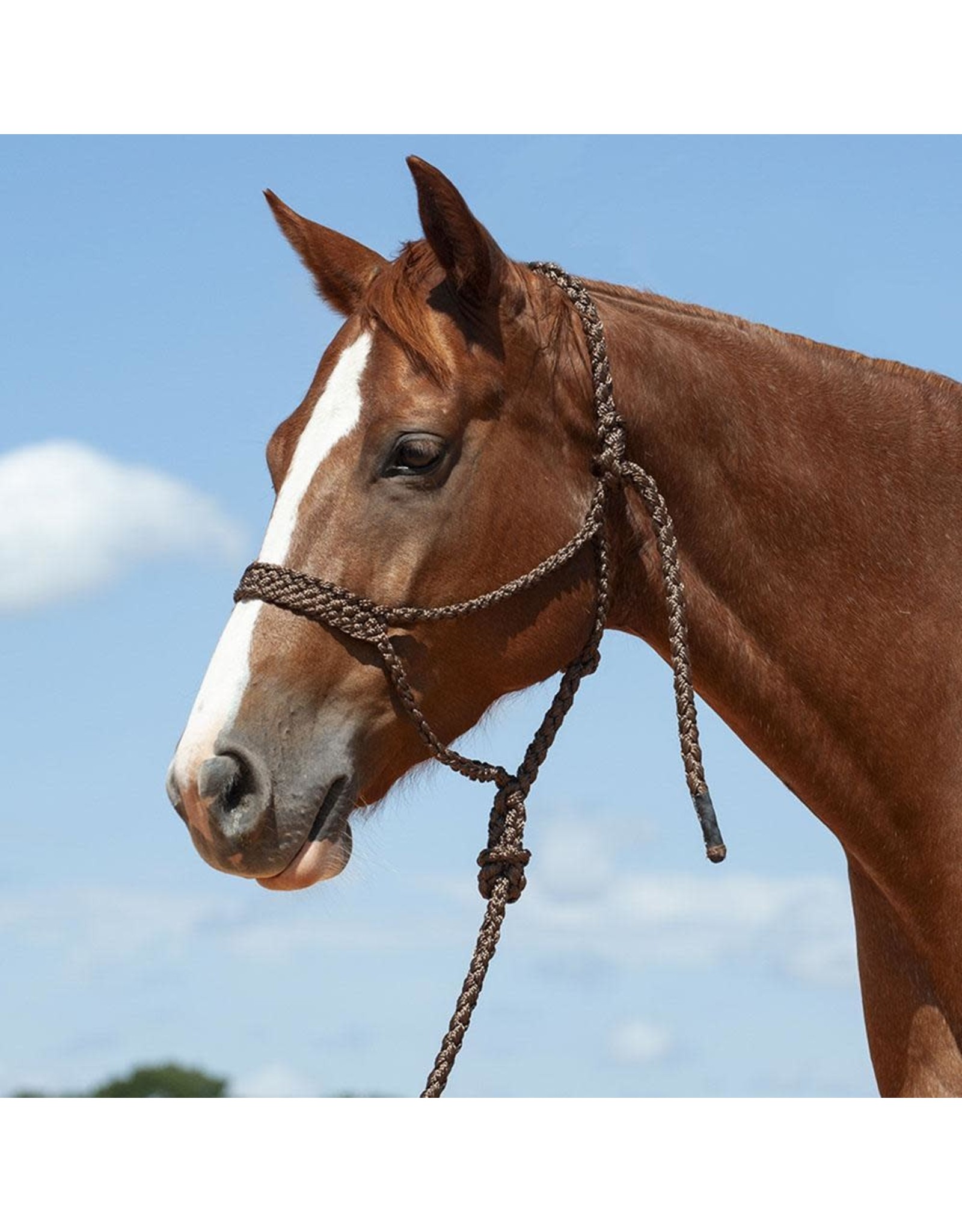 Cashel Classic Equine Flat Braided Brown HTR-BMTH-BRO Rope Halter