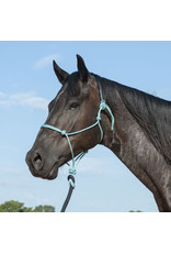 Martin Martin Saddlery Turquoise/Black HALTERLEADTQA Training Rope Halter