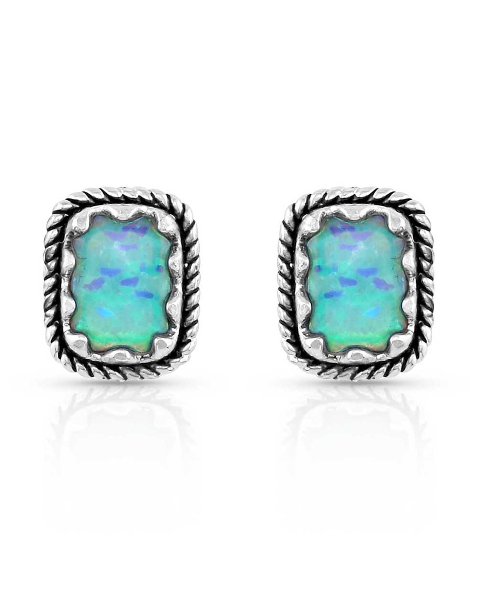 Montana Silversmiths Montana Silversmith Emerald Pools Opal ER5122 Earrings