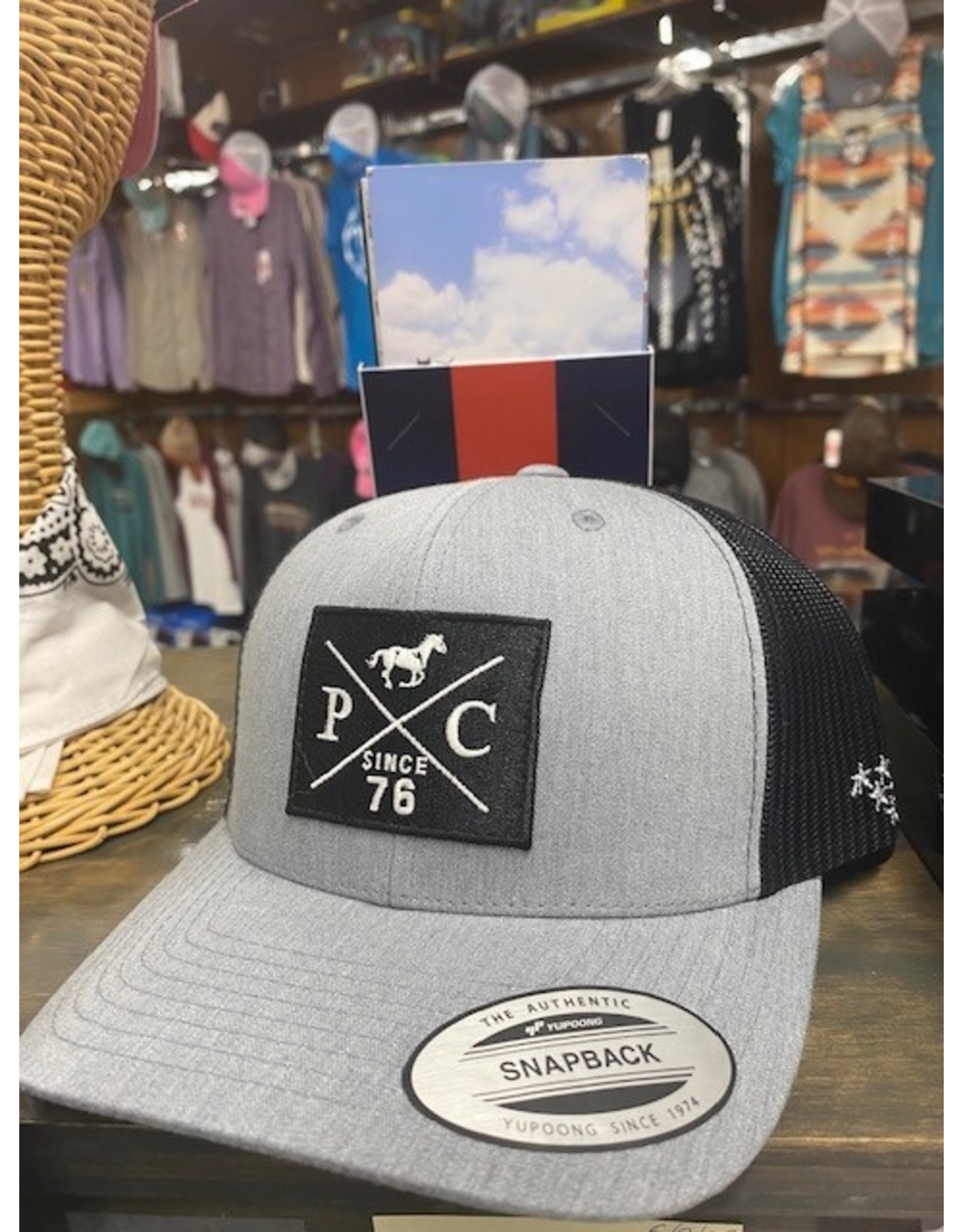 Professional's Choice Professional's Choice Retro Snapback BC2203-HEA/BLA Cap