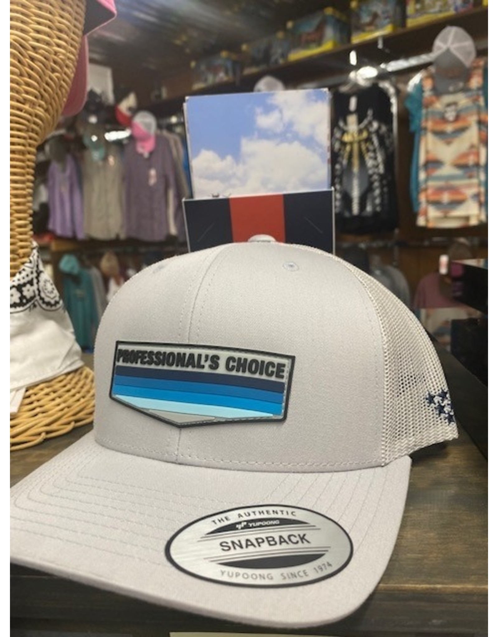Professional's Choice Professional's Choice Retro Snapback BC2202-SIL Cap