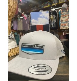 Professional's Choice Professional's Choice Retro Snapback BC2202-SIL Cap