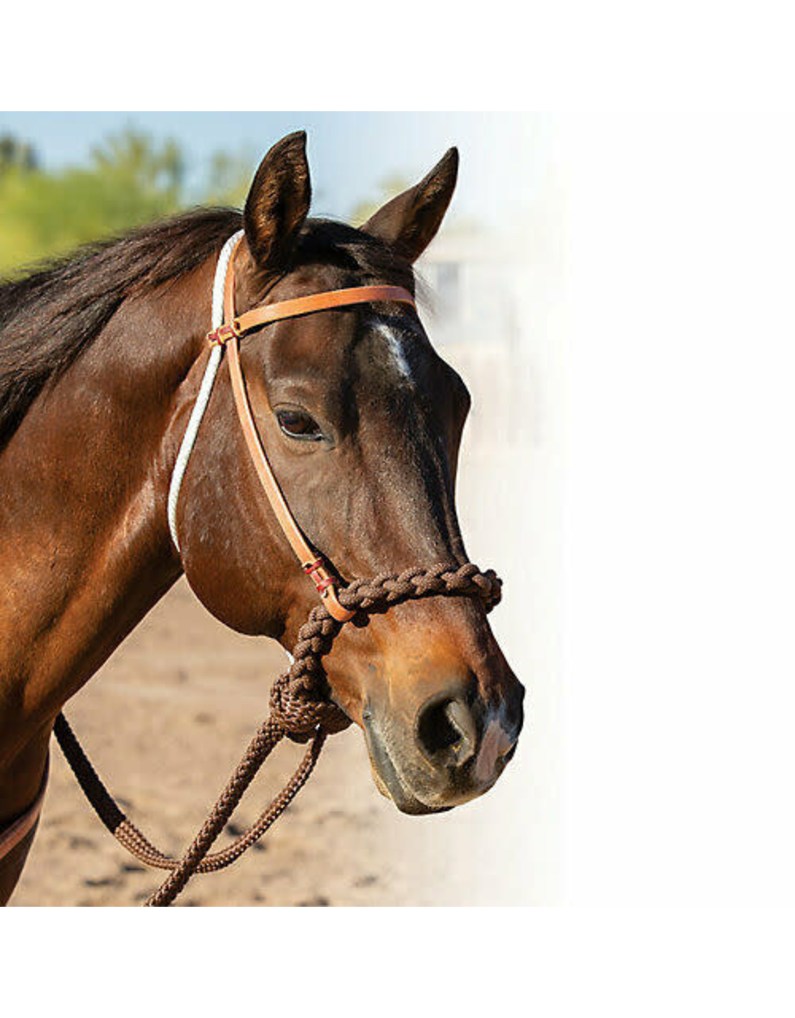 Schutz Bros Schutz Bros. Loping Hackamore 8168HL
