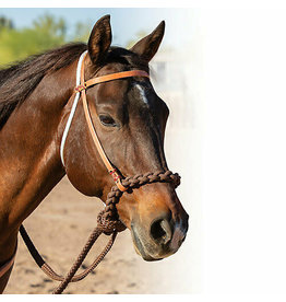Schutz Bros Schutz Bros. Loping Hackamore 8168HL