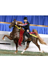Breyer Breyer WC Marc of Charm - Saddlebred Stallion 1847