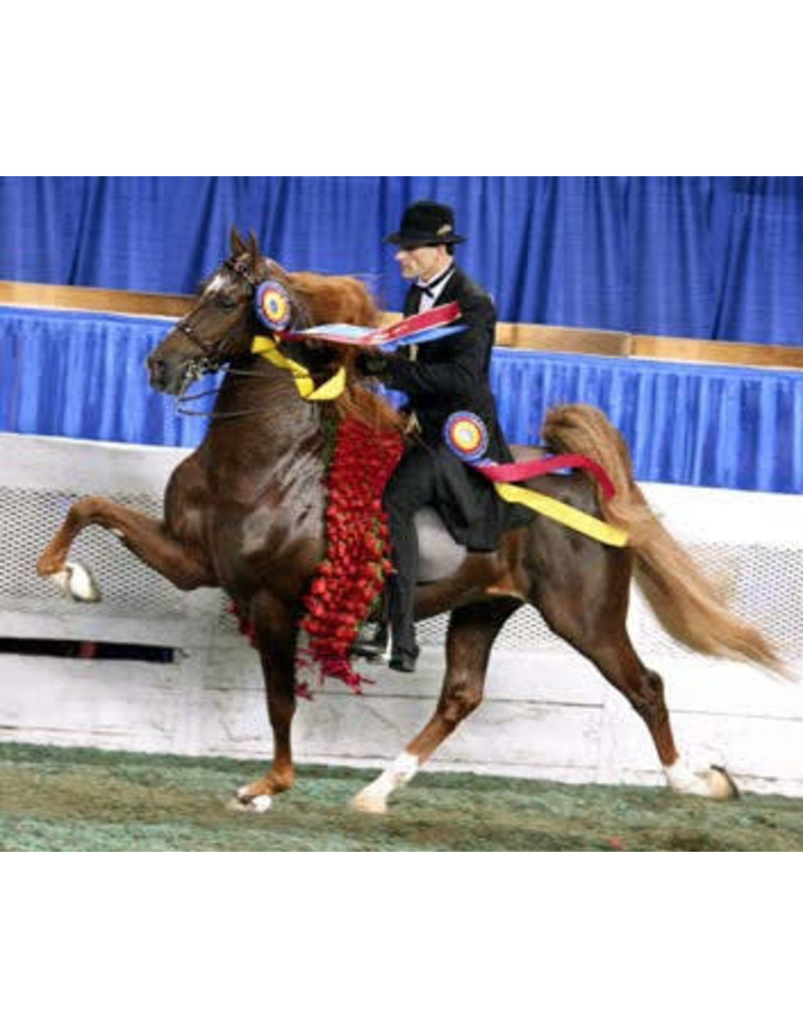 Breyer Breyer WC Marc of Charm - Saddlebred Stallion 1847