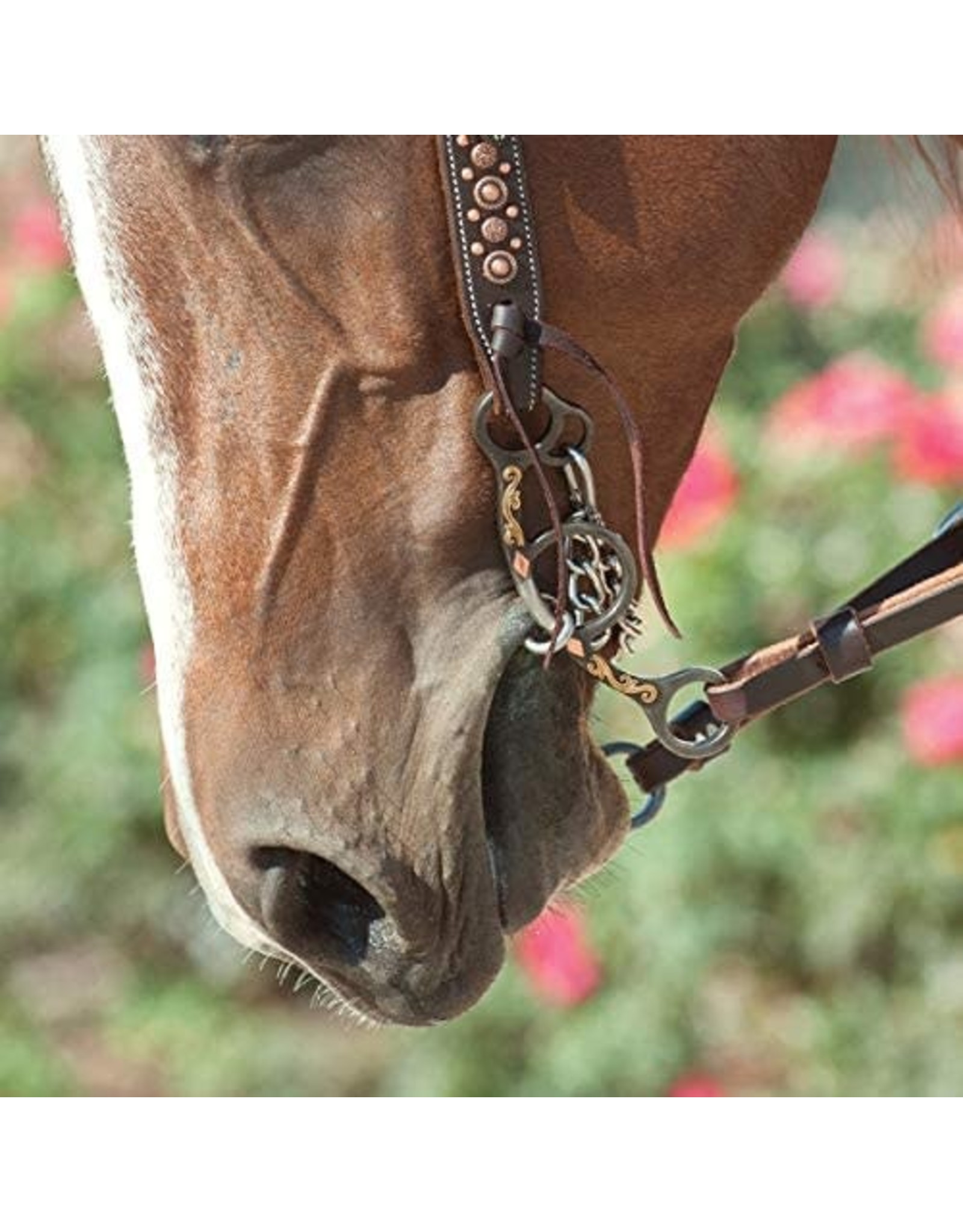 Classic Equine Classic Equine Sherry Cervi Twisted Wire Shank Bit BBIT3SSG24SS
