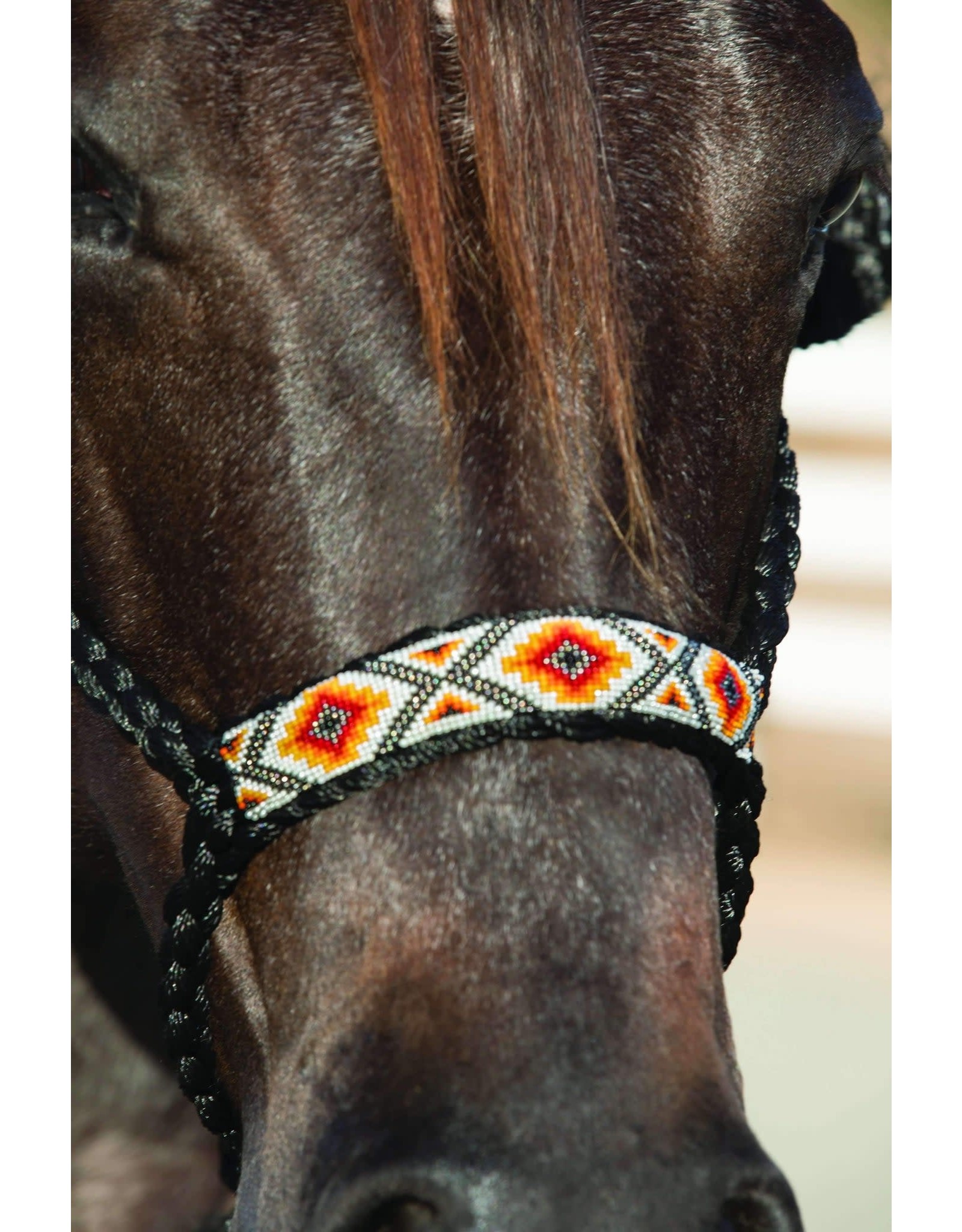 Professional's Choice Cowboy Mule Tape HRCB-Bla/Org Beaded Halter