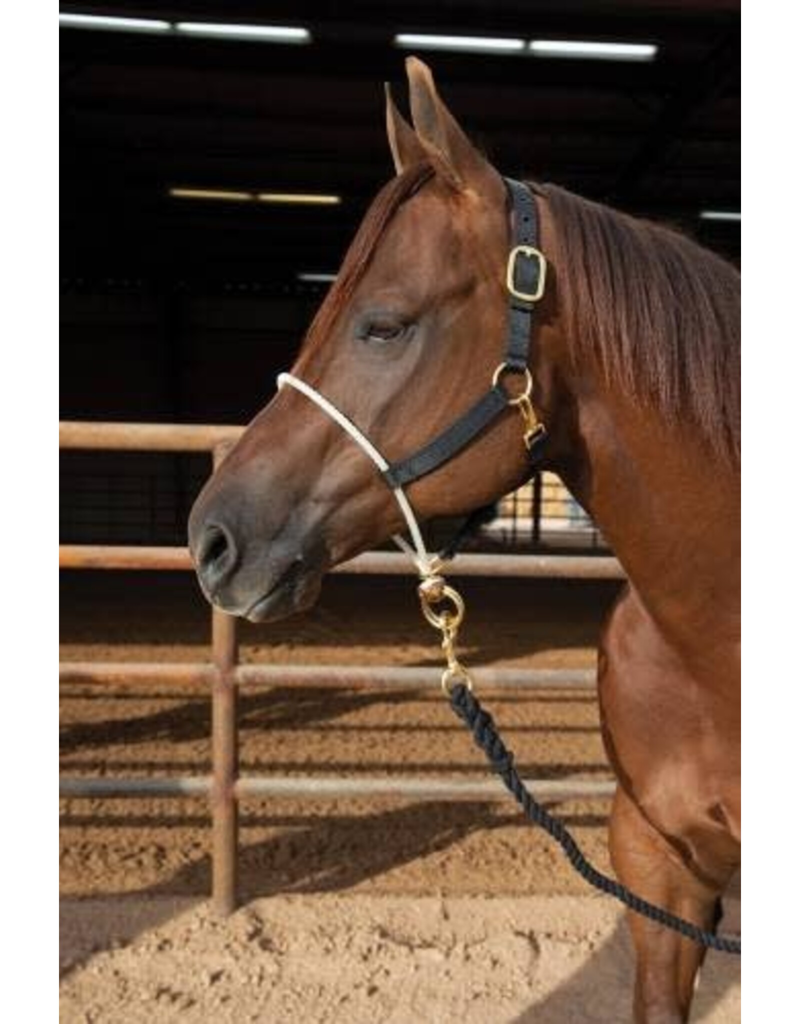 Professional's Choice Nylon Halter with Rope Nose NHRS-BLA