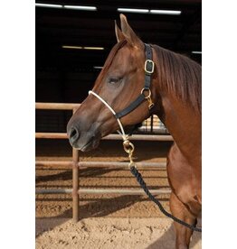 Professional's Choice Nylon Halter with Rope Nose NHRS-BLA
