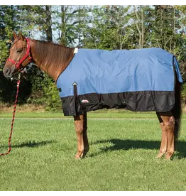 Weaver Weaver Economy Turnout Blanket 1200 Denier 200 Polyfill 35-1582