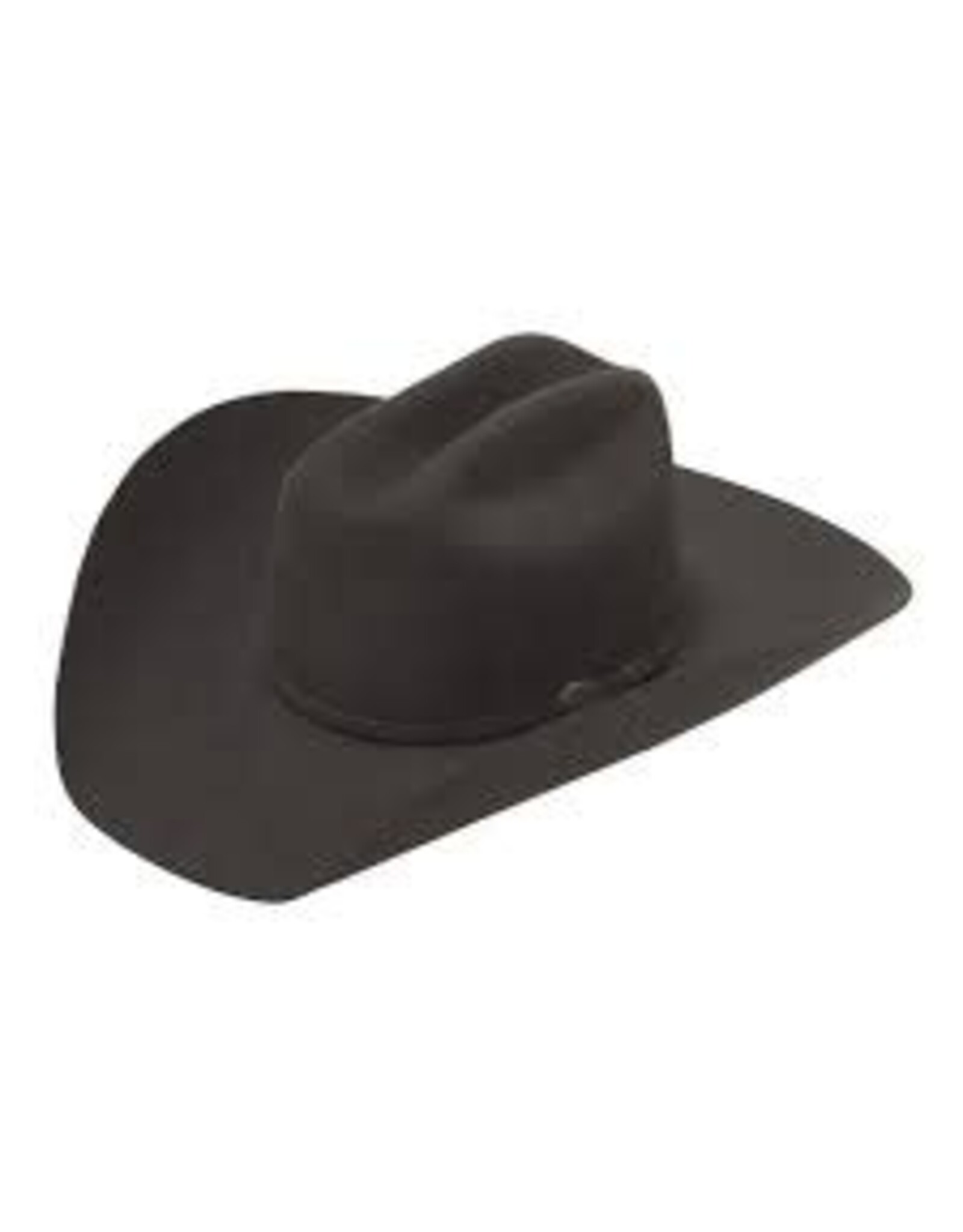 Twister Twister El Paso T75324286 Felt Hat Steel