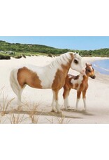 Breyer Breyer "Misty & Stormy" Chincoteague Pony with Foal & Book 1157