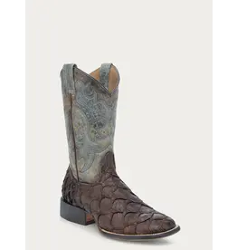 Corral Corral Men’s Tobacco Turqouise Fish Pirarucu B5023