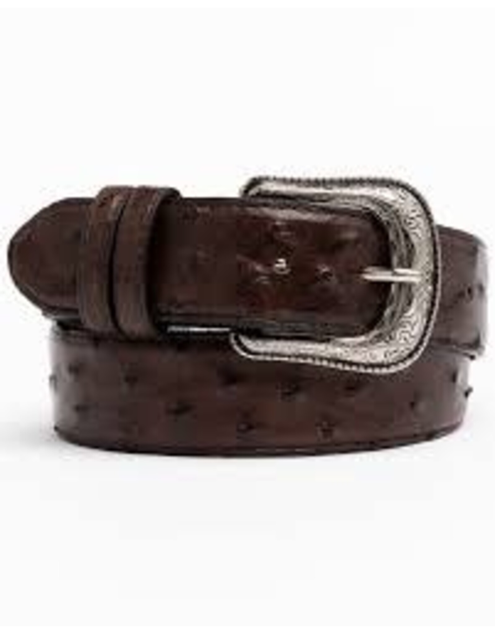 Cowtown Cowtown Mens Chocolate Ostrich Print Belt H6073
