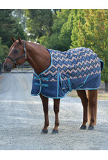 Weatherbeeta Comfitec Essential Turnout 220G Printed