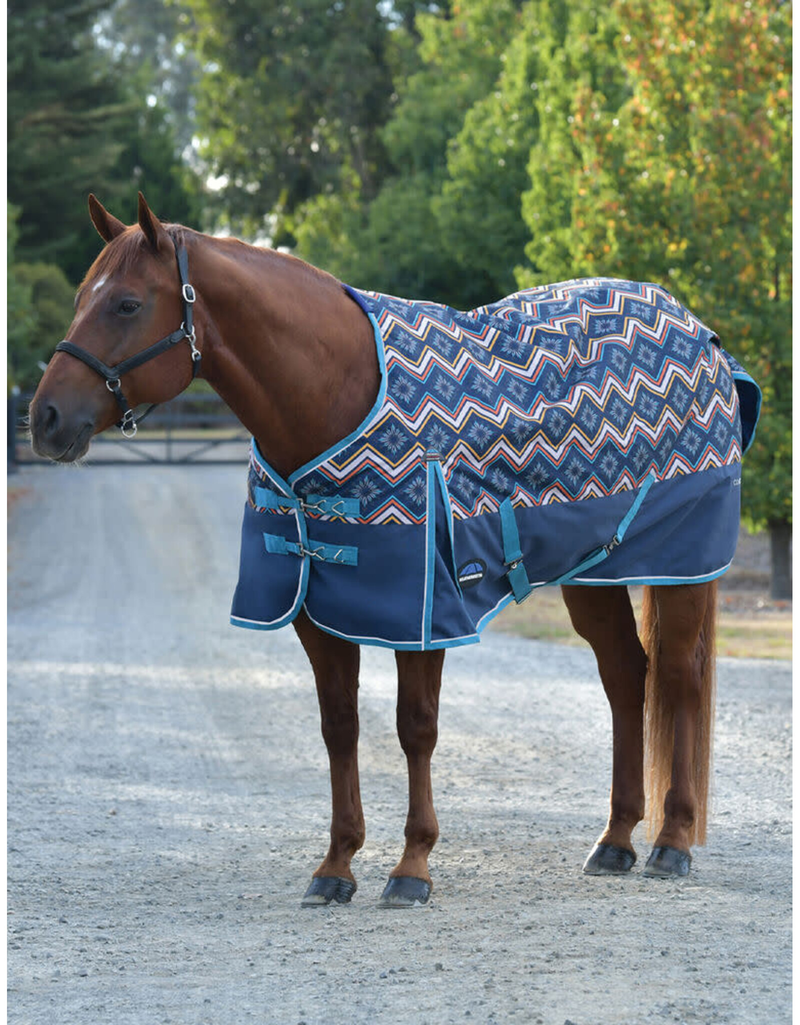 Weatherbeeta Comfitec Essential Turnout 220G Printed
