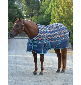 Weatherbeeta Comfitec Essential Turnout 220G Printed