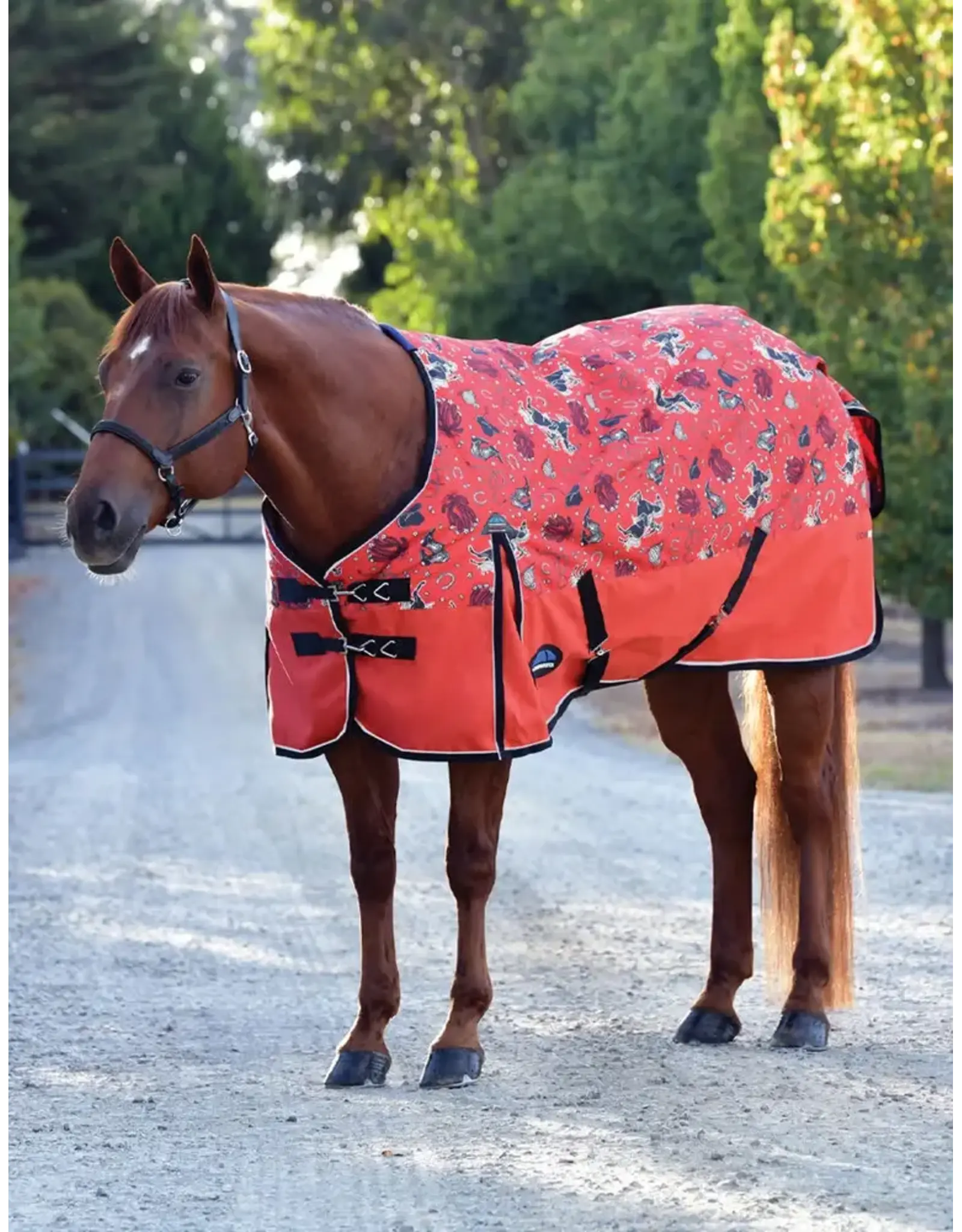 Weatherbeeta Comfitec Essential Turnout 220G Printed