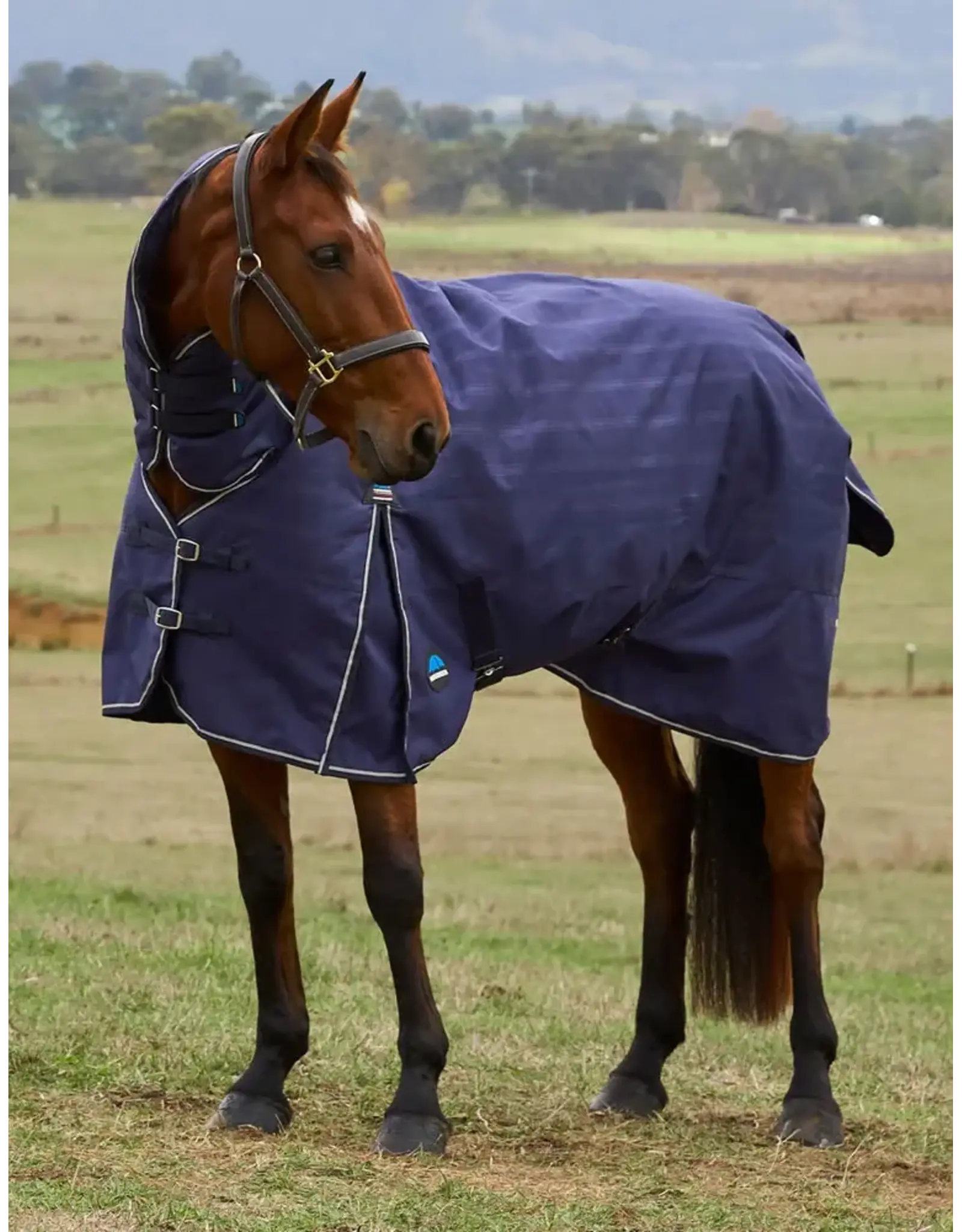 Weatherbeeta Comfitec Prelim Turnout Combo 220G Navy Embossed
