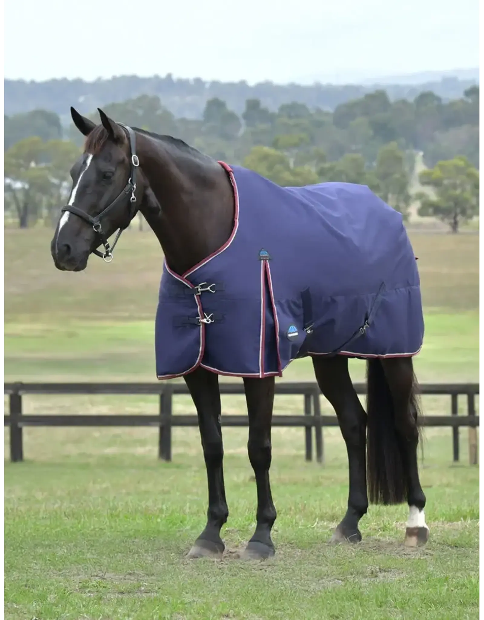 Weatherbeeta Comfitec Essential Turnout 0G Burgundy/Navy