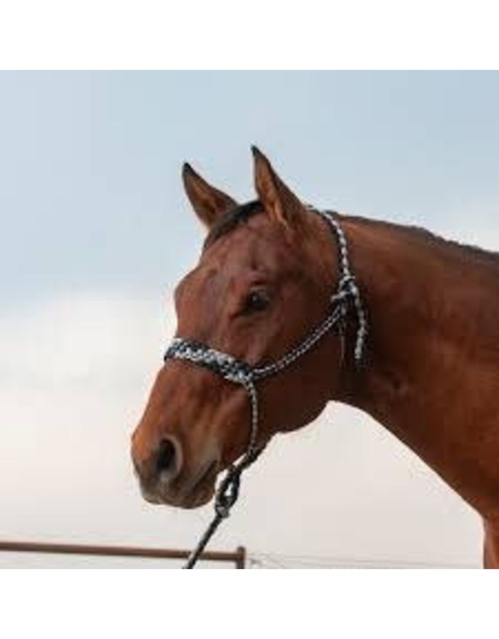 Classic Equine Classic Equine Braided HALTERBR Rope Halter
