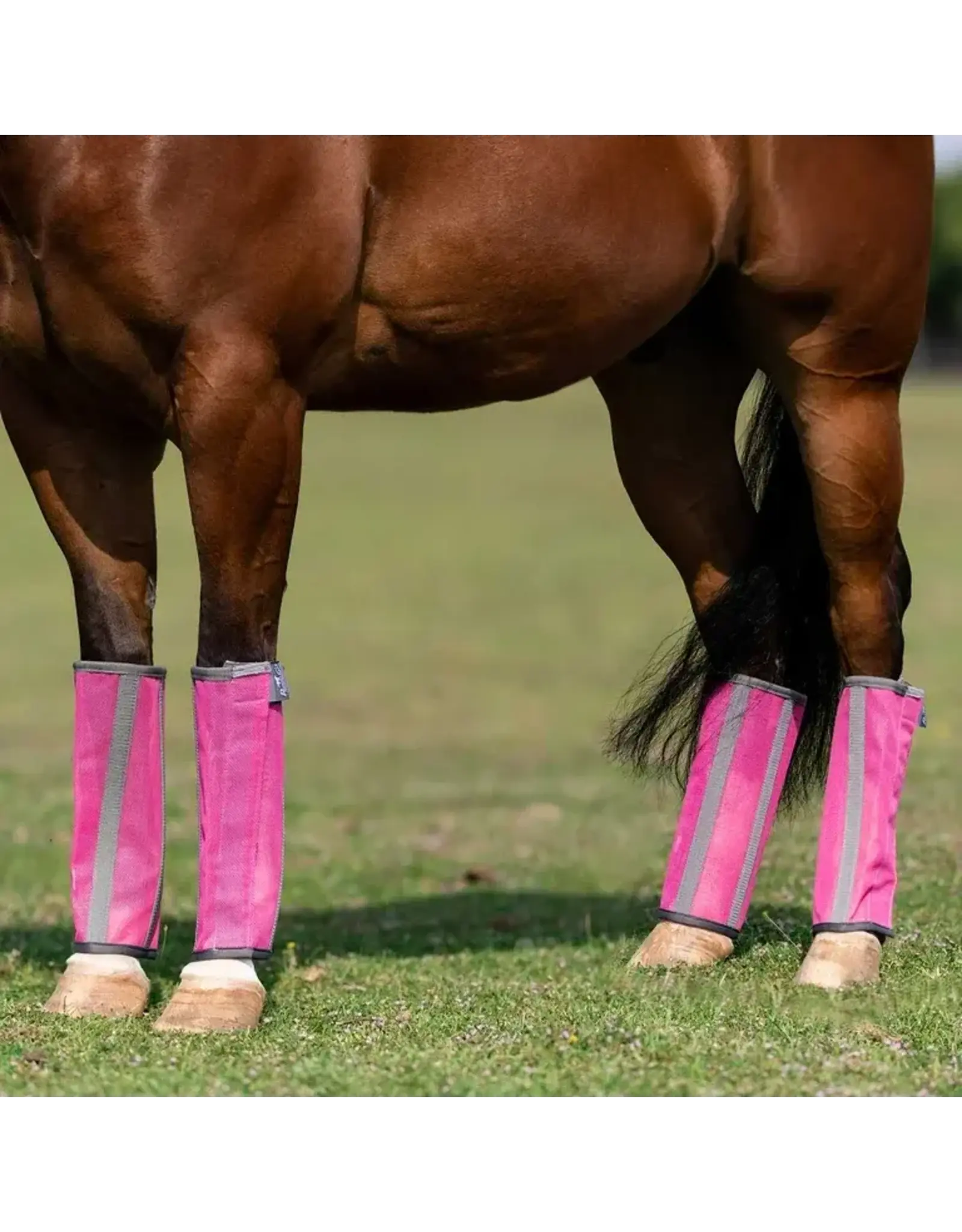 Professional's Choice Deluxe Fly Boots FBD