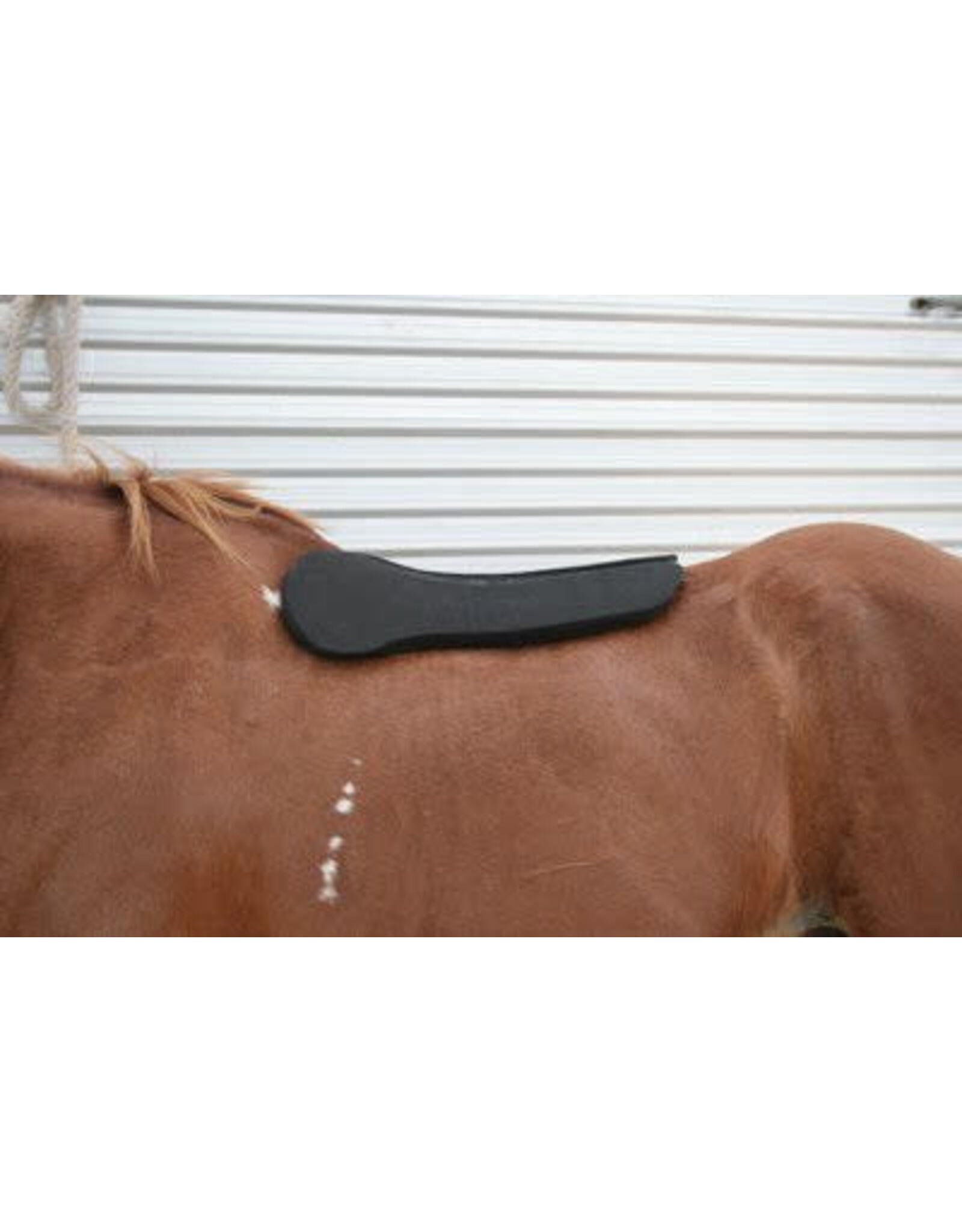 Circle Y 3/4" Shoulder Bridge Memory Foam Pad 0041-3400