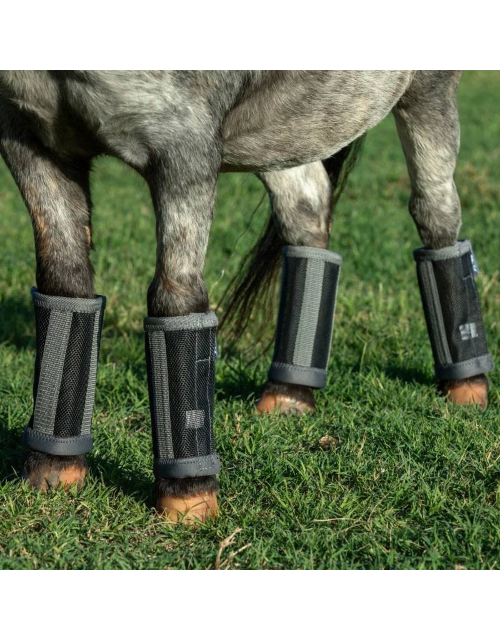 Professional's Choice Deluxe Fly Boots FBD