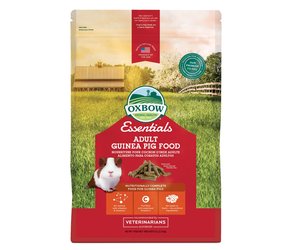 oxbow adult guinea pig