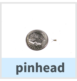 PinHead Crickets 10 count